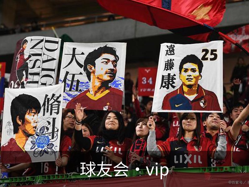 球友会·vip介绍